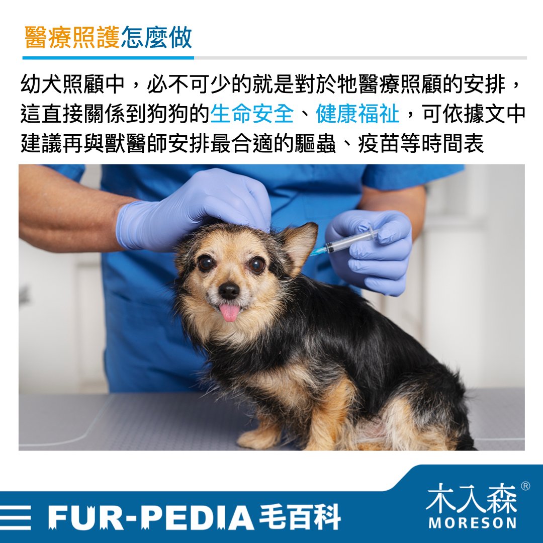 新手大戰幼犬！小狗怎麼養才對？！