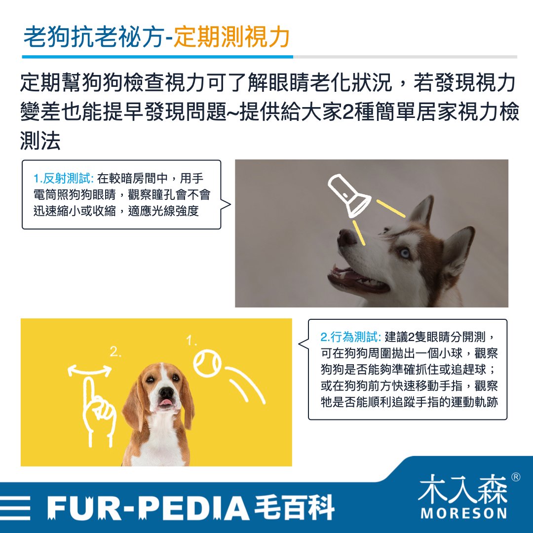 發現貓咪尿不出來？用這「5」個步驟判斷原因、症狀、預防復發方法。