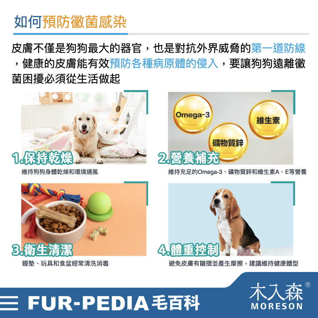 別小看狗狗皮膚黑色結痂，這其實是皮膚病！