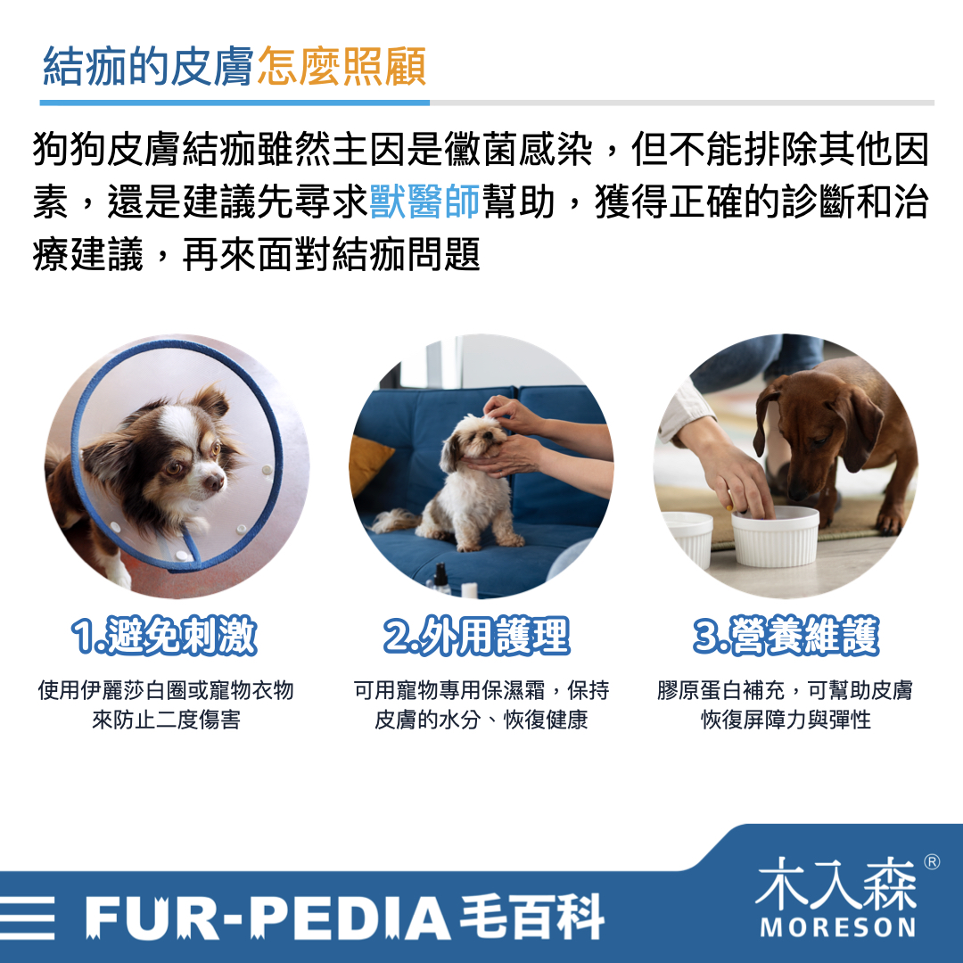別小看狗狗皮膚黑色結痂，這其實是皮膚病！