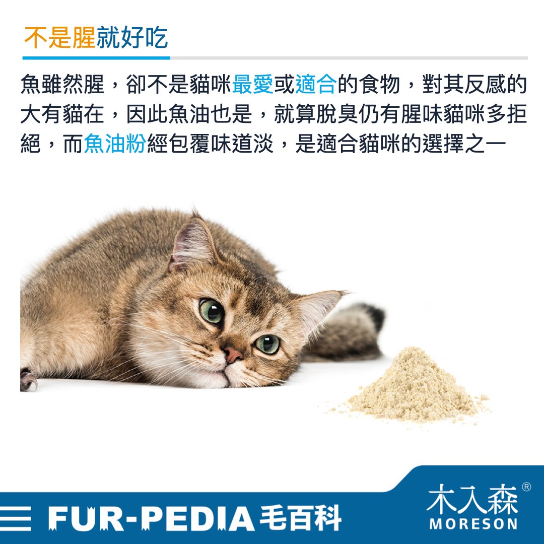 貓咪可以吃魚嗎