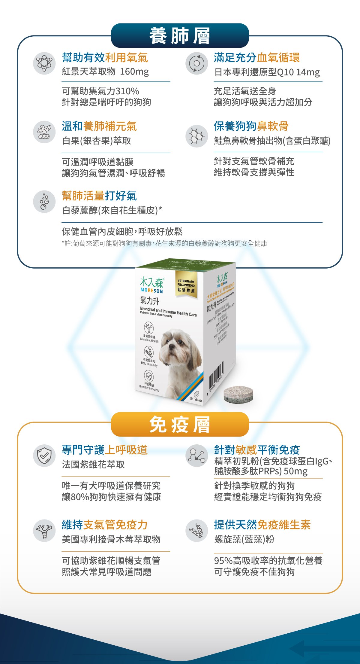 氣力升產品功能與配方