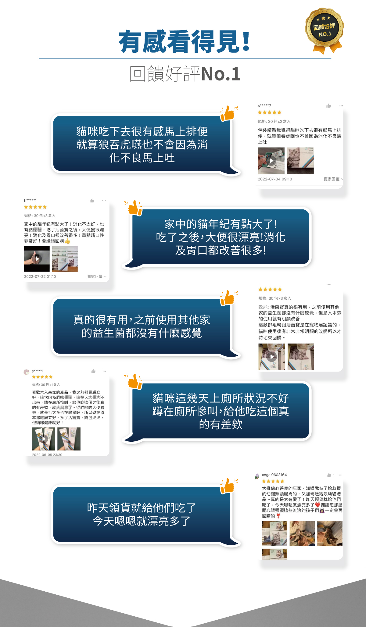 木入森 貓咪活菌寶 | 貓咪益生菌