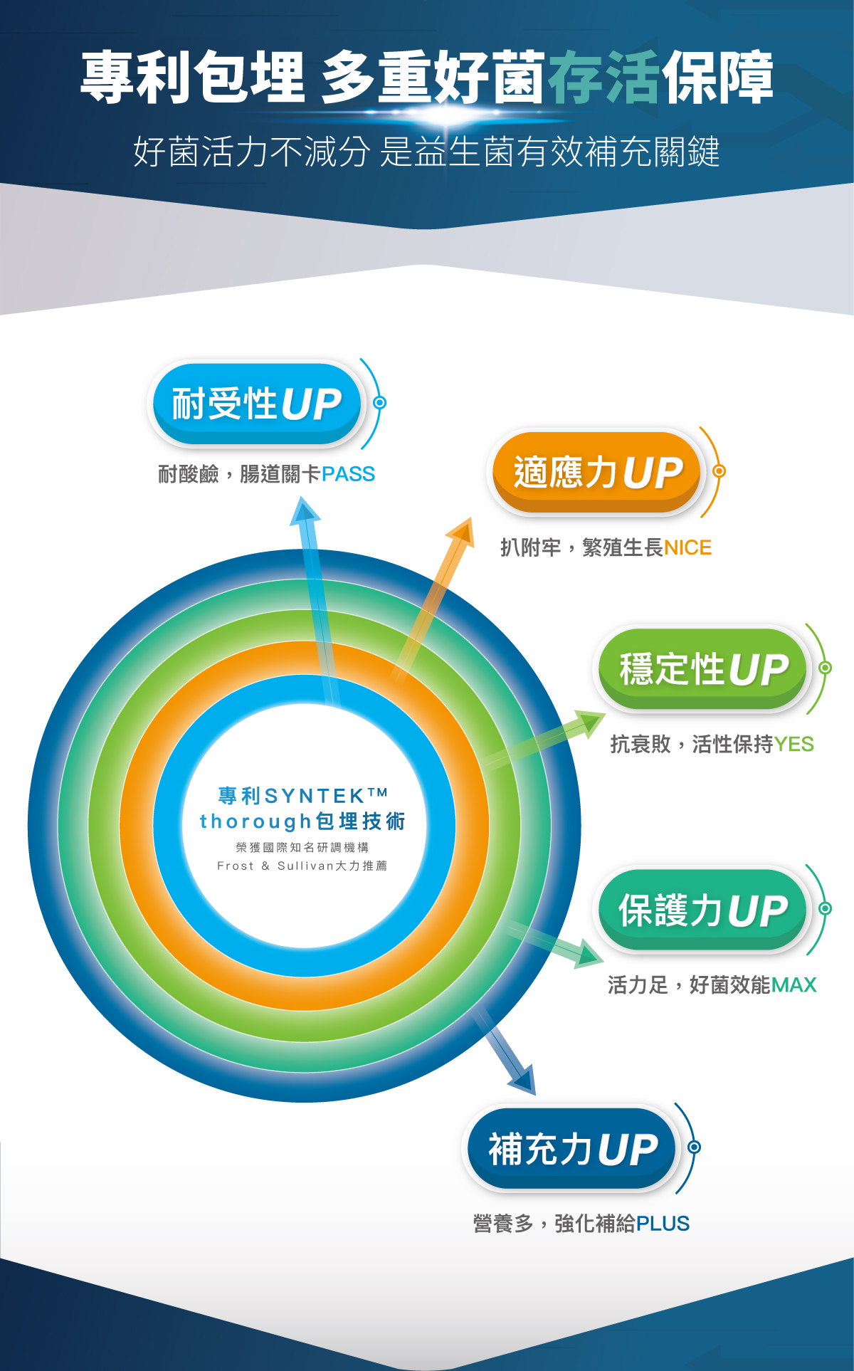 木入森 貓咪活菌寶 | 貓咪益生菌
