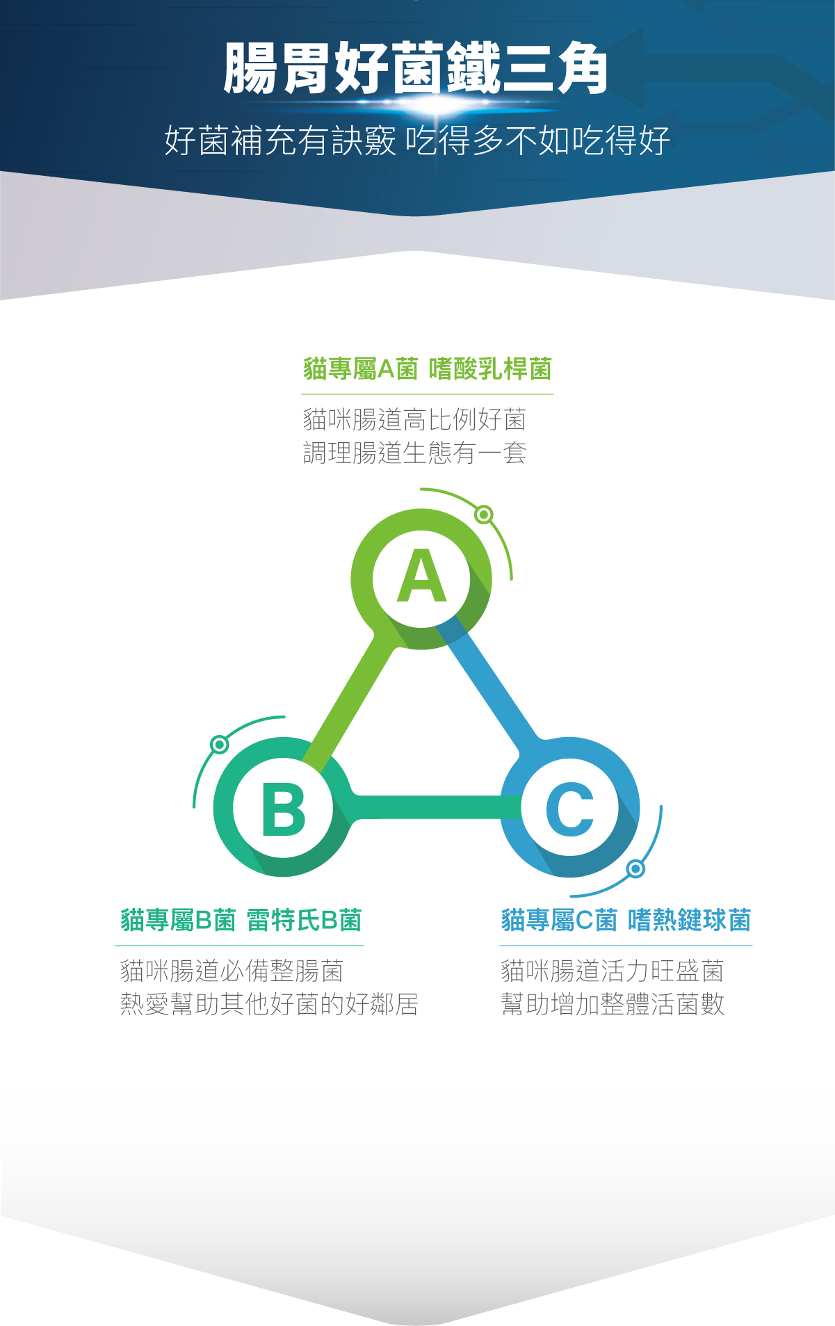 木入森 貓咪活菌寶 | 貓咪益生菌