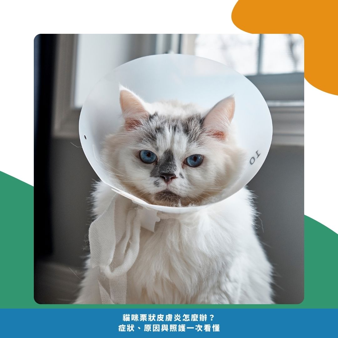 為什麼會發生栗狀皮膚炎？