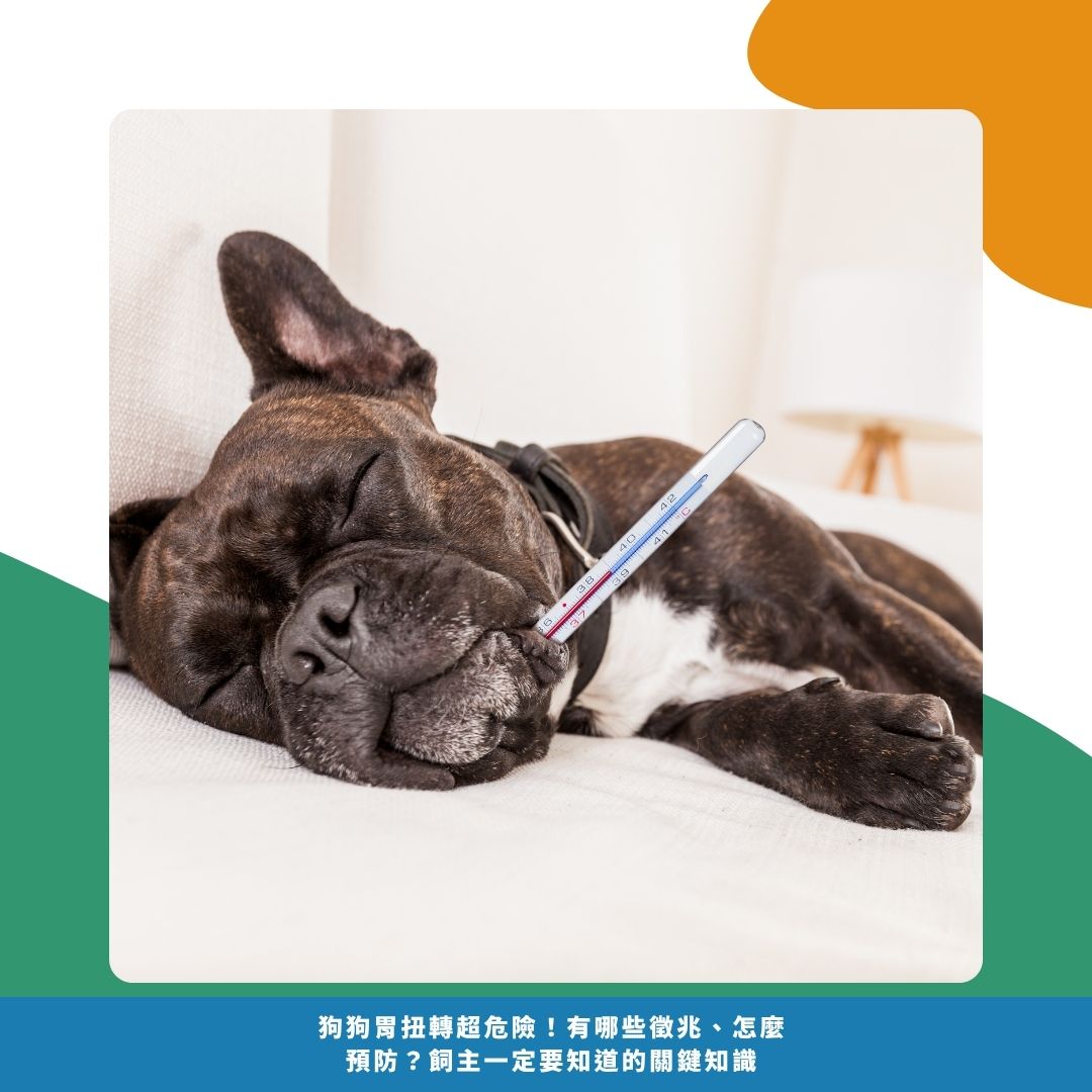 發生時會有什麼症狀?怎麼分辨? 發生時會有什麼症狀?怎麼分辨?