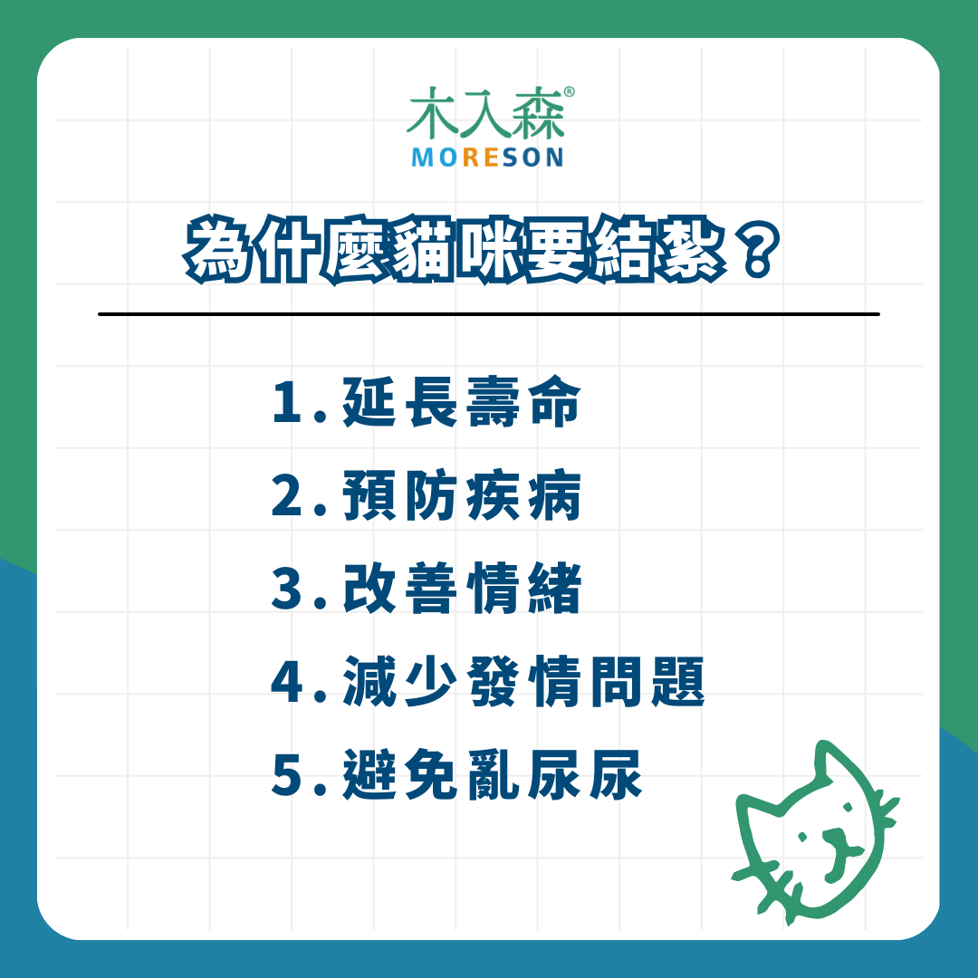 貓咪結紮總整理｜公母貓結紮費用、年紀