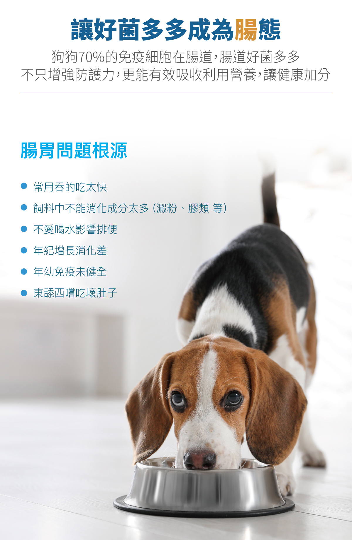 木入森 犬寶變不臭 狗狗益生菌 