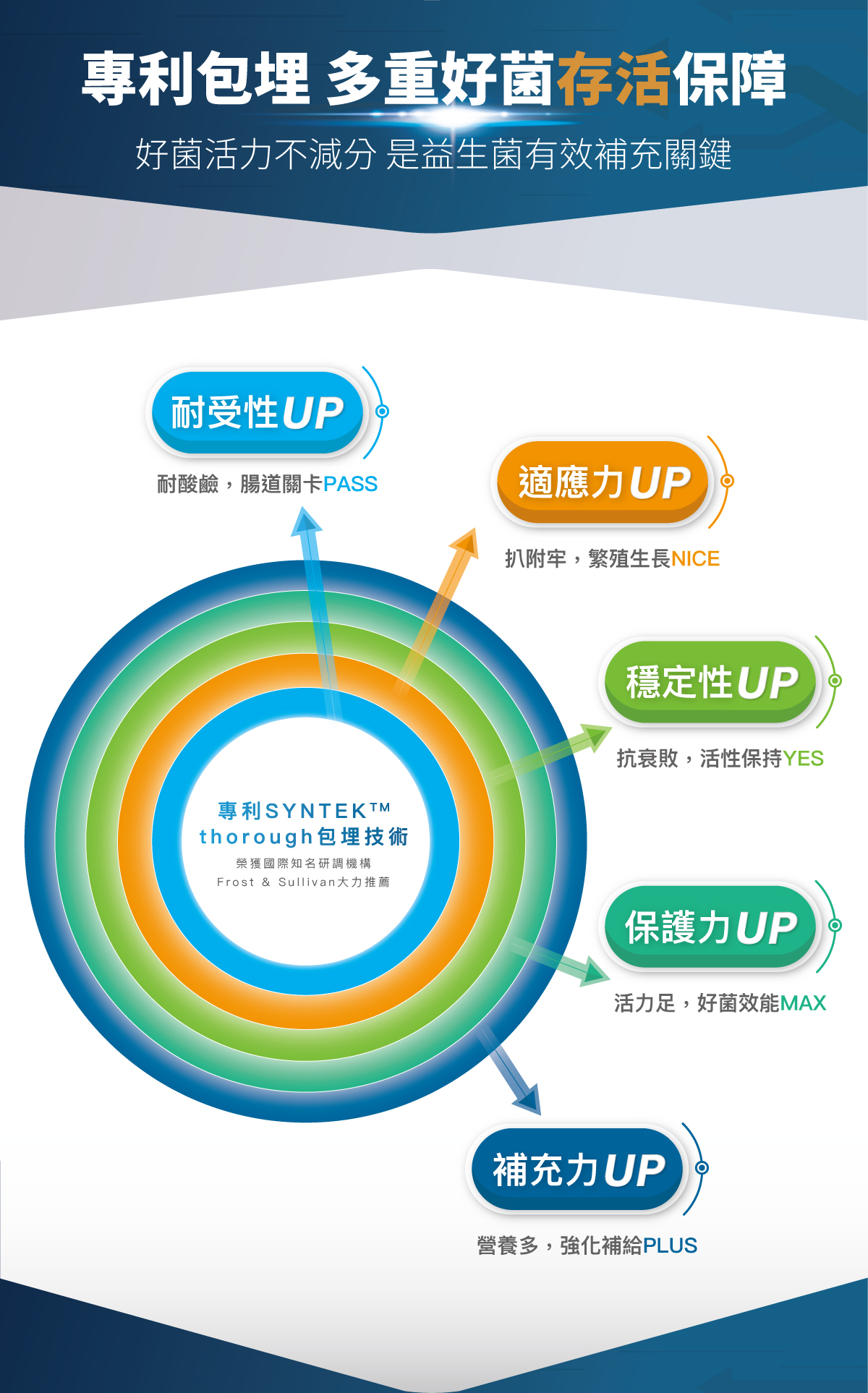 木入森 犬寶變不臭 狗狗益生菌 