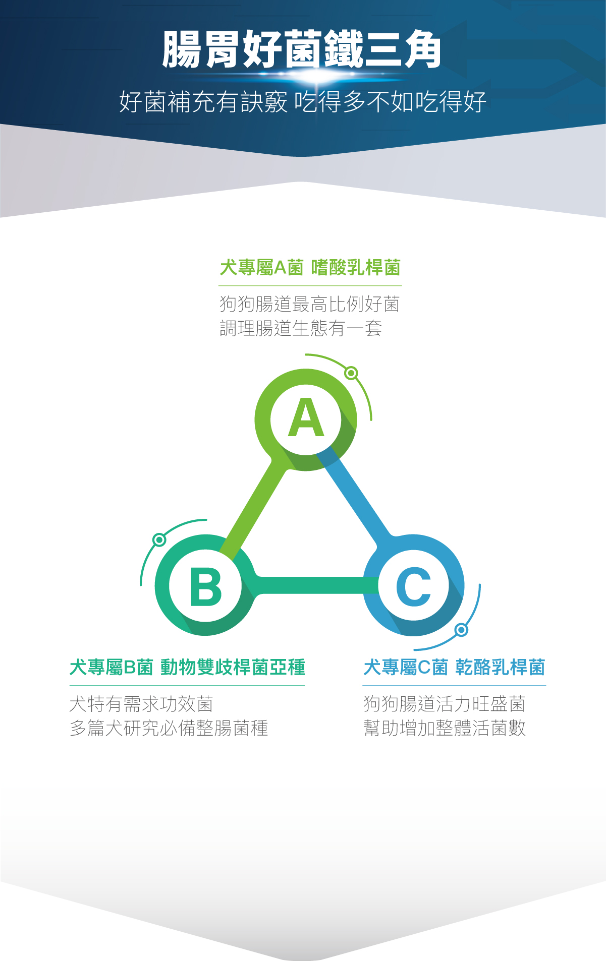 木入森 犬寶變不臭 狗狗益生菌 