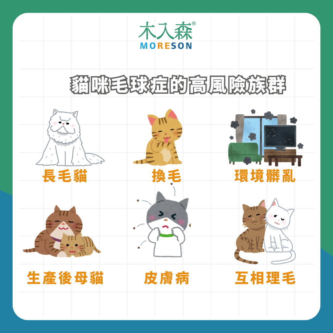 貓咪又吐毛！「貓咪毛球症」是什麼？成因、症狀與預防方式
