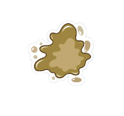 貓咪拉稀拉肚子怎麼辦？出現稀泥狀便便時的照護與就醫判斷