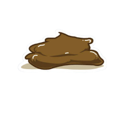 貓咪軟便怎麼辦？判斷貓咪拉肚子是否需要禁食或看醫生