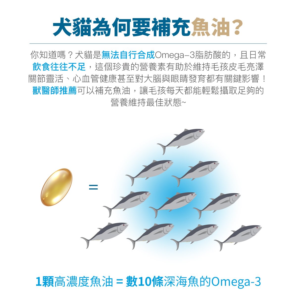 木入森 高EPA寵物魚油｜貓狗魚油推薦_3