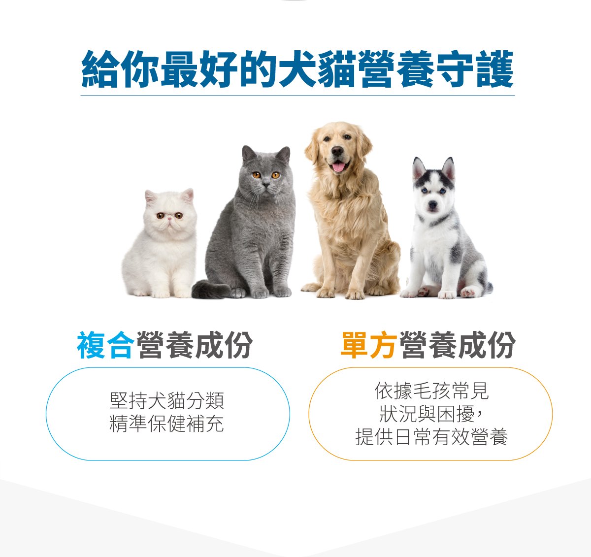 木入森 寵物魚油粉｜犬貓魚油_2