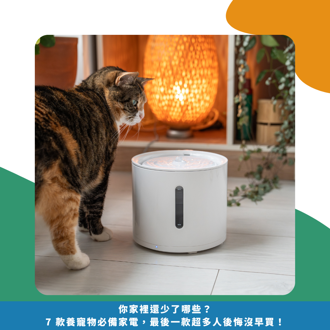 你家裡還少了哪些？7 款養寵物必備家電，最後一款超多人後悔沒早買！