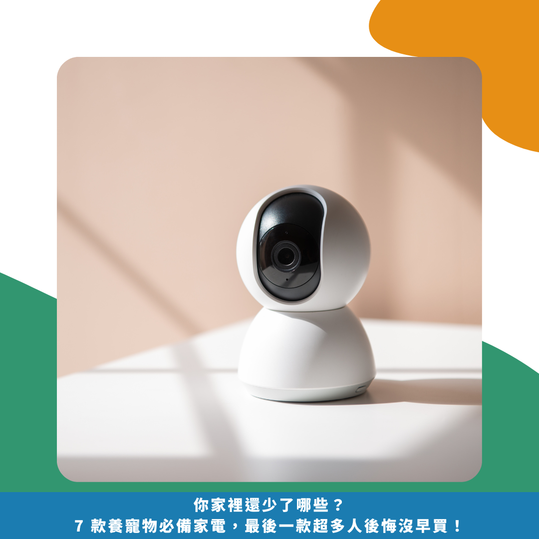你家裡還少了哪些？7 款養寵物必備家電，最後一款超多人後悔沒早買！