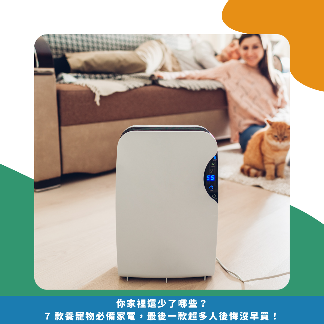 你家裡還少了哪些？7 款養寵物必備家電，最後一款超多人後悔沒早買！