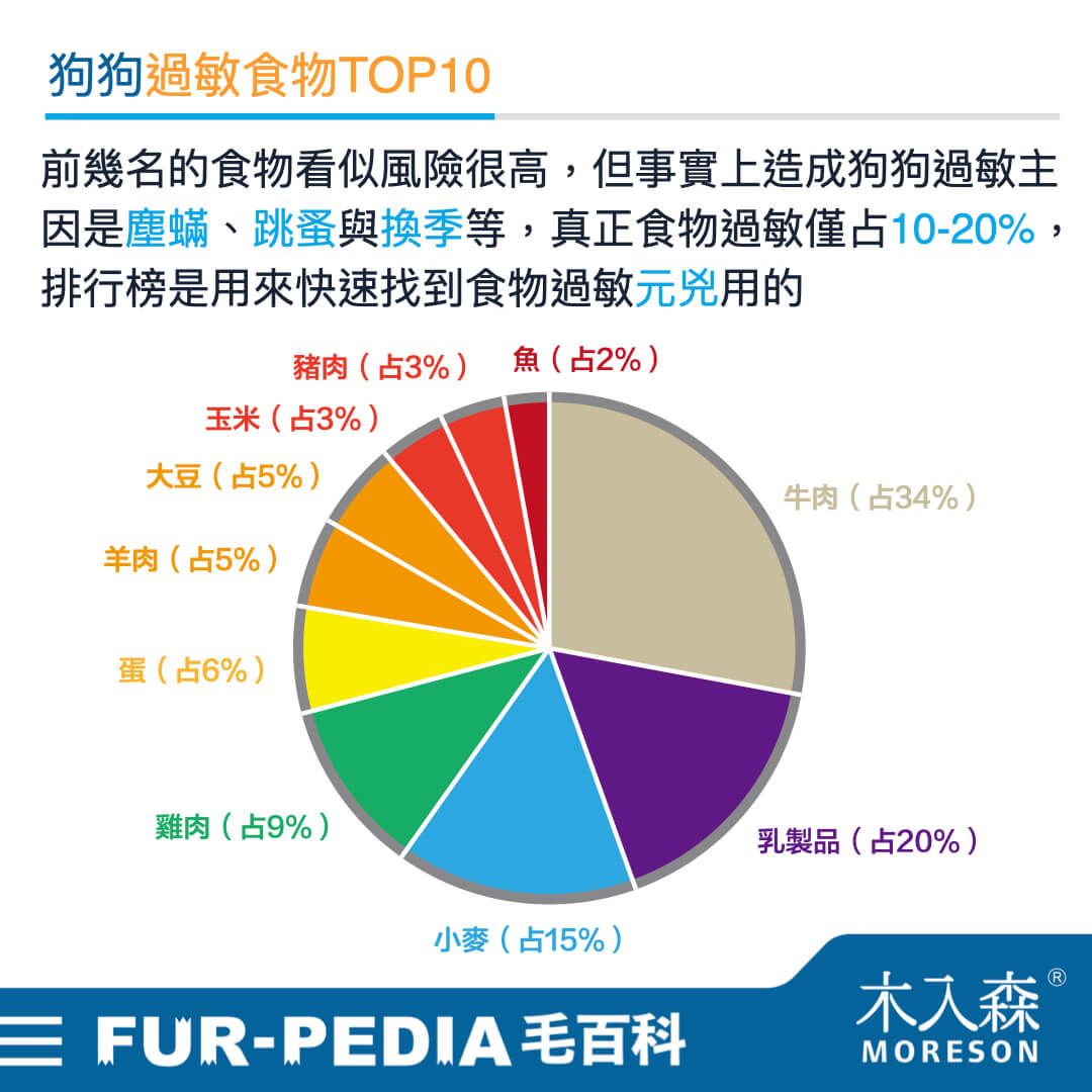 狗狗食物過敏原排行,誰是TOP10癢癢元凶? 狗狗食物過敏原排行,誰是TOP10癢癢元凶?