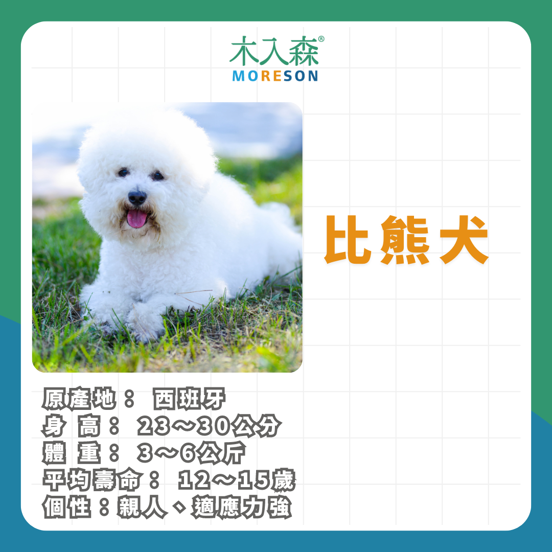 21種狗狗品種總整理｜養狗狗前必讀