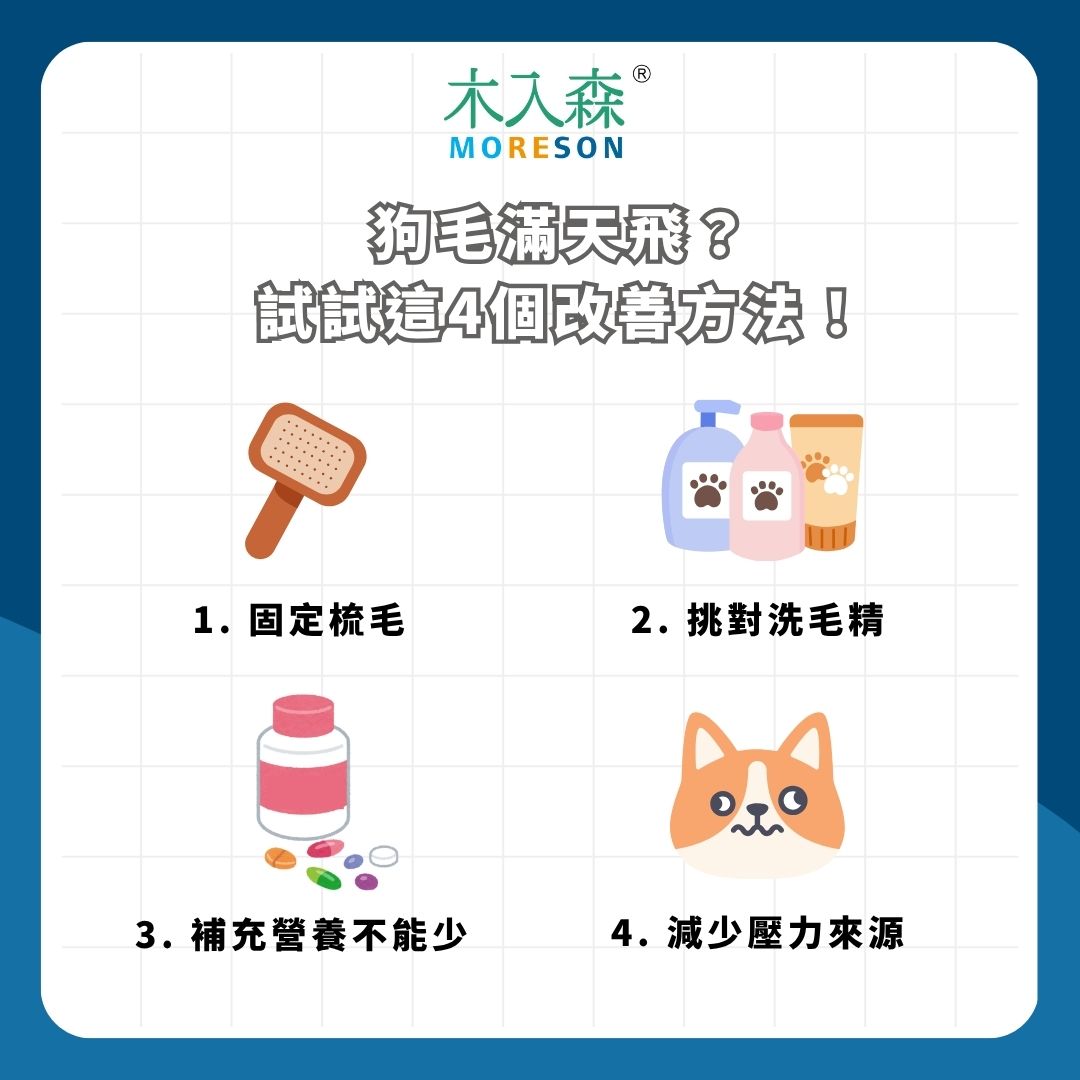 狗毛滿天飛？試試這 4 個改善方法
