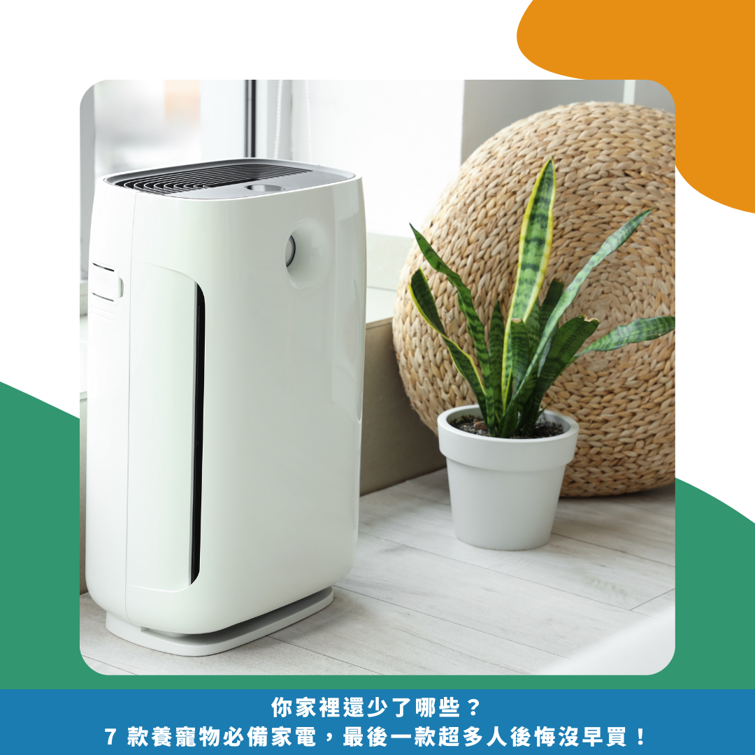 你家裡還少了哪些？7 款養寵物必備家電，最後一款超多人後悔沒早買！