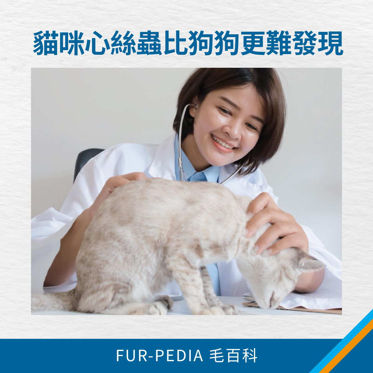 圖中獸醫正在為貓咪進行檢查，說明貓咪心絲蟲較難發現的特性
