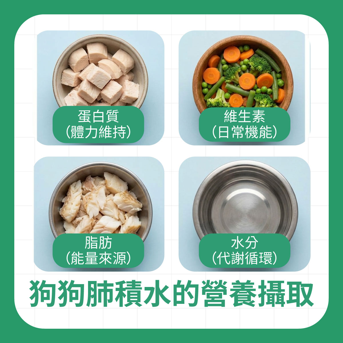 四個碗中分別裝有蛋白質、蔬菜、脂肪與清水，對應狗狗在肺積水時需要補充的營養種類