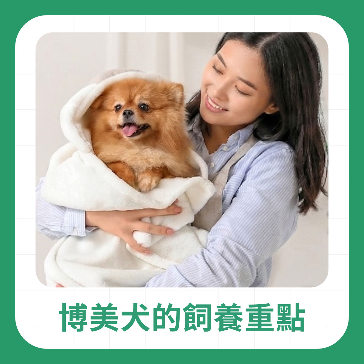 一位女性抱著包裹在毛巾中的博美犬，博美犬看起來乾淨且放鬆，用於說明博美犬日常照護與飼養重點