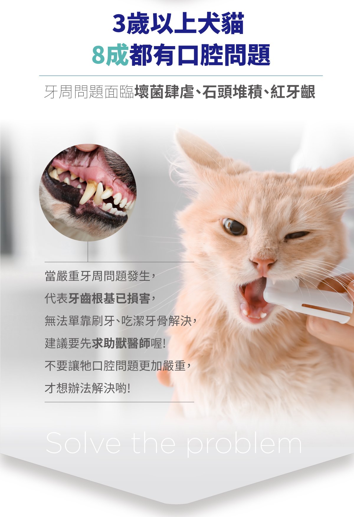 木入森 固齒麗口腔護理凝膠_3