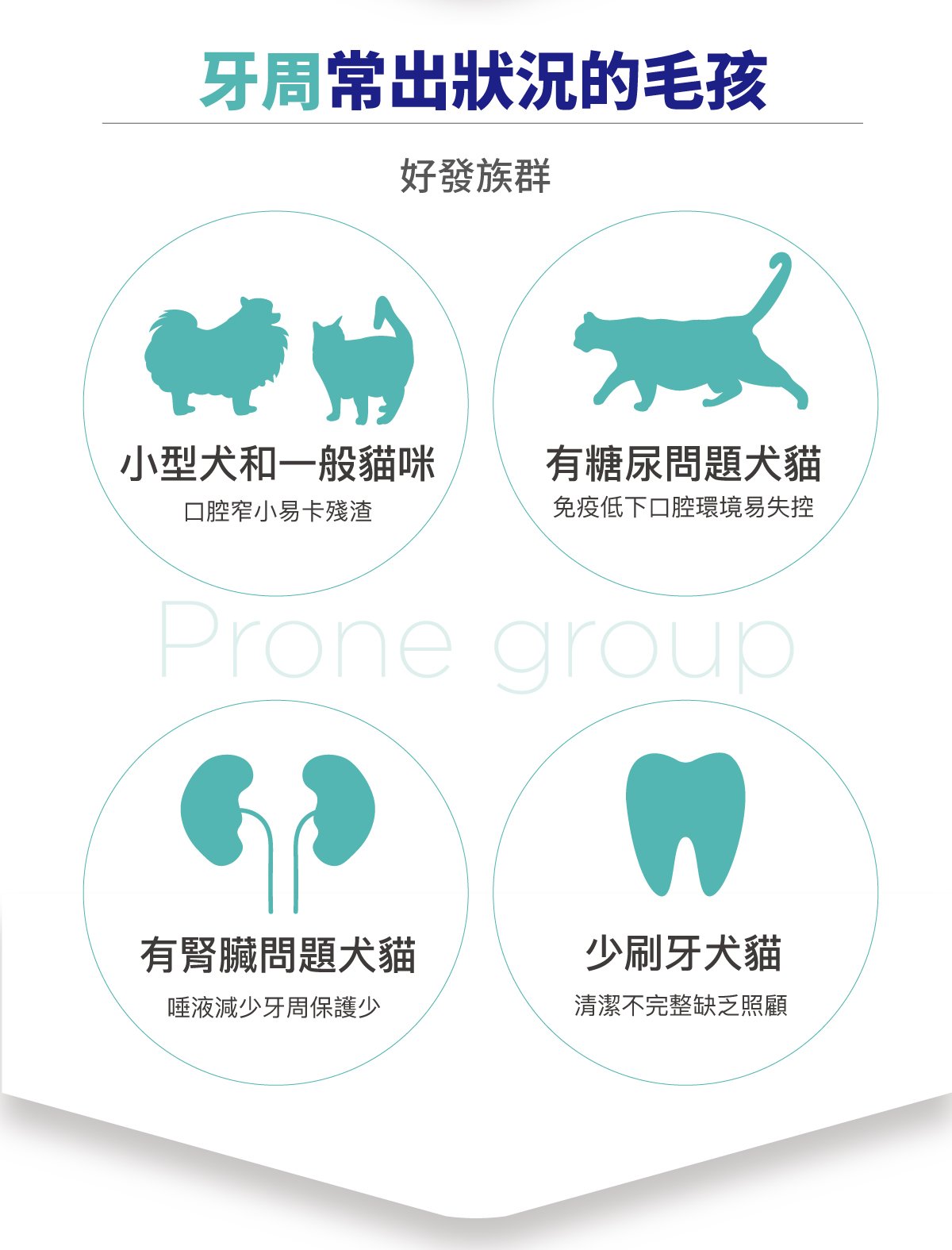 木入森 固齒麗口腔護理凝膠_4