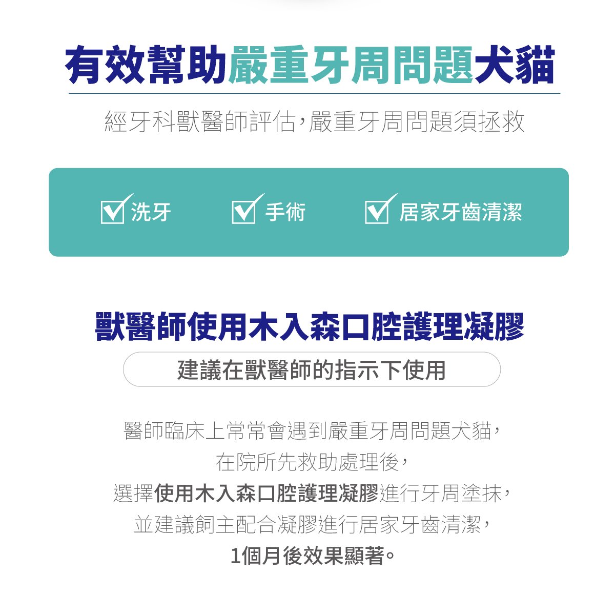 木入森 固齒麗口腔護理凝膠_6