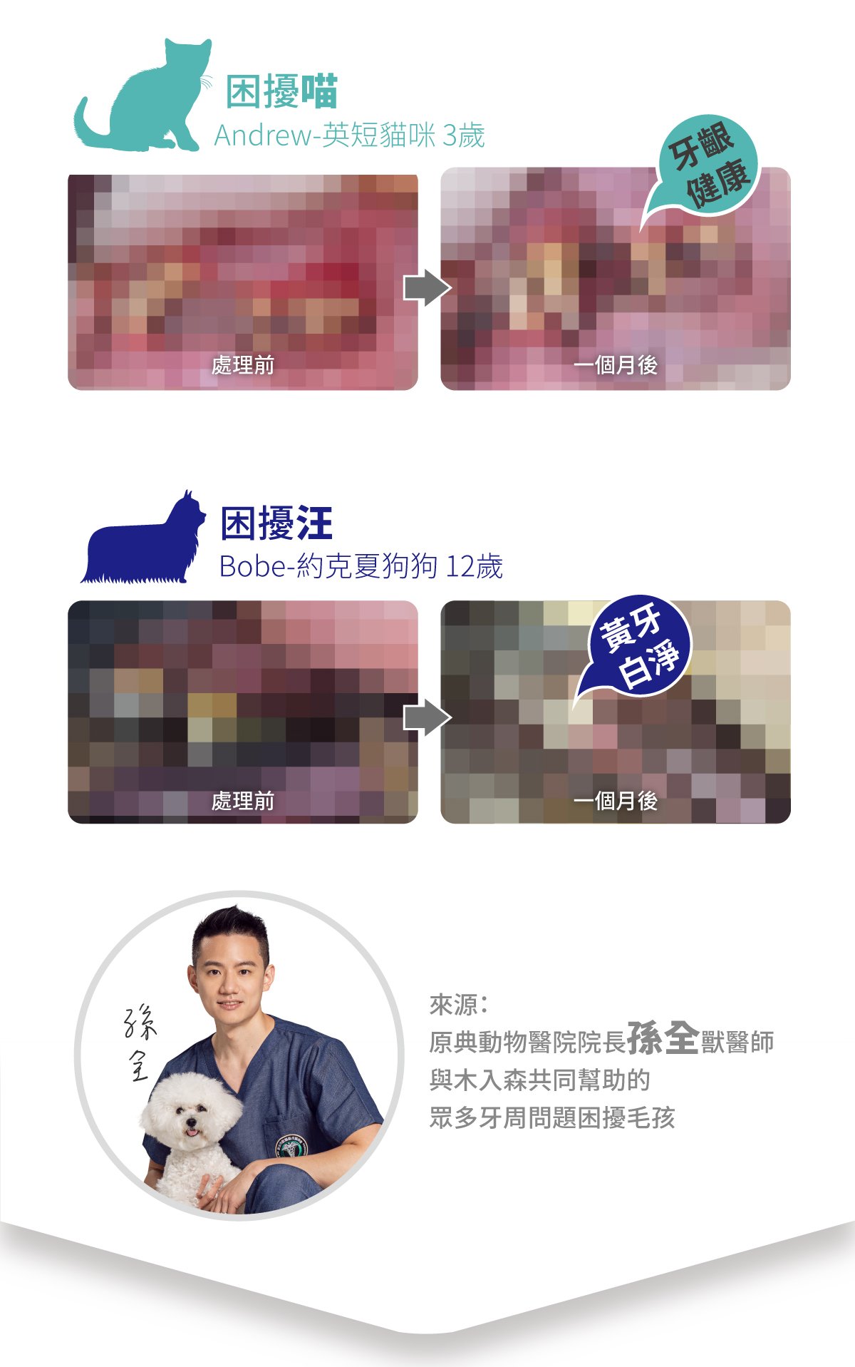 木入森 固齒麗口腔護理凝膠_8