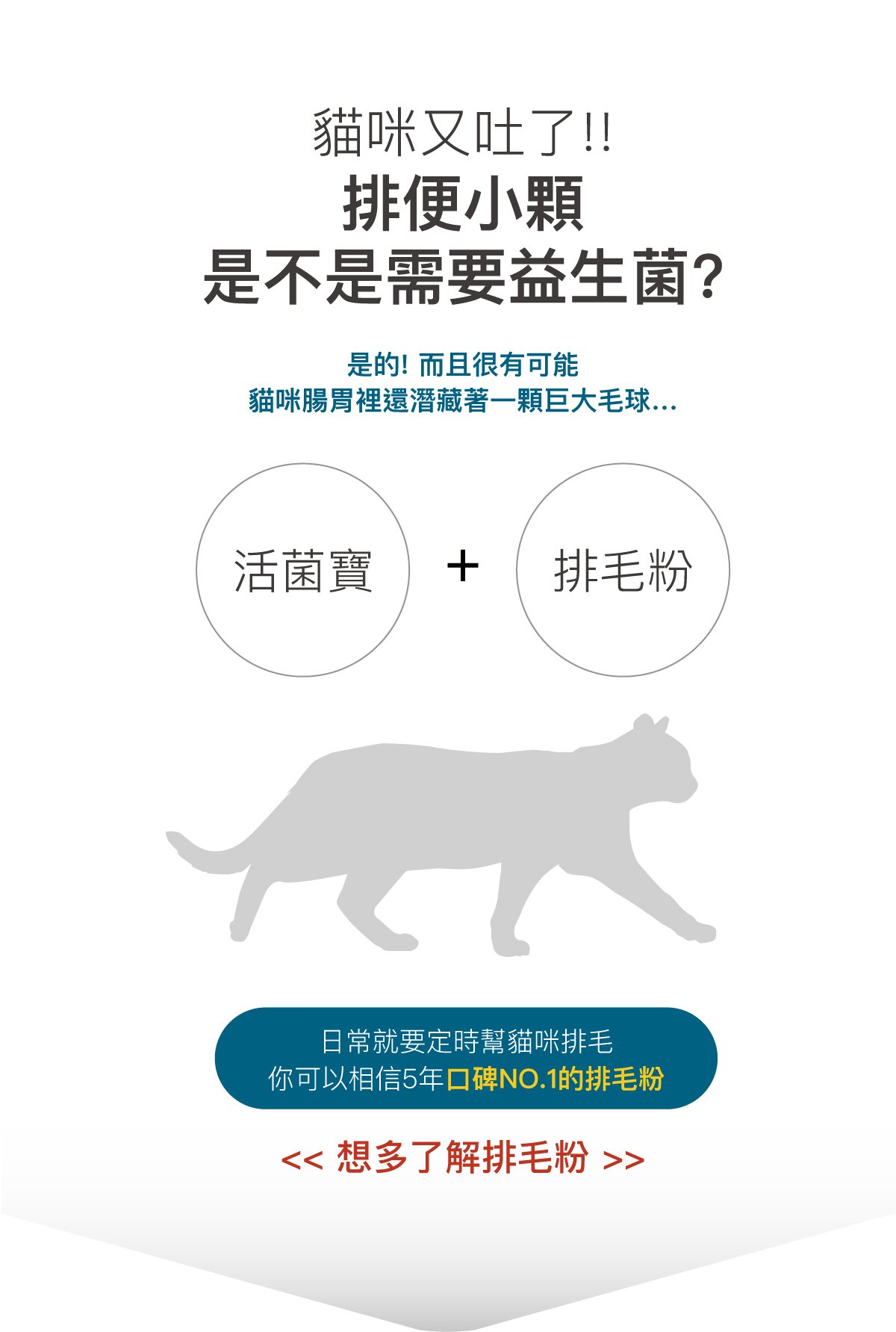 木入森 貓咪活菌寶｜貓咪益生菌_9