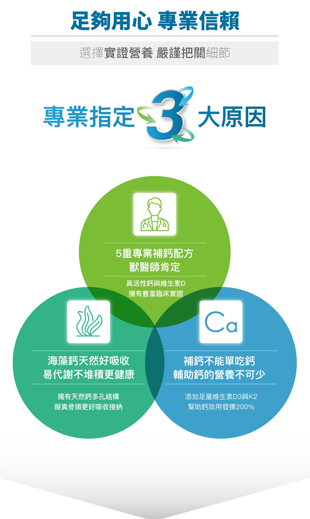 木入森 犬寶D藻鈣｜狗狗補鈣推薦_5