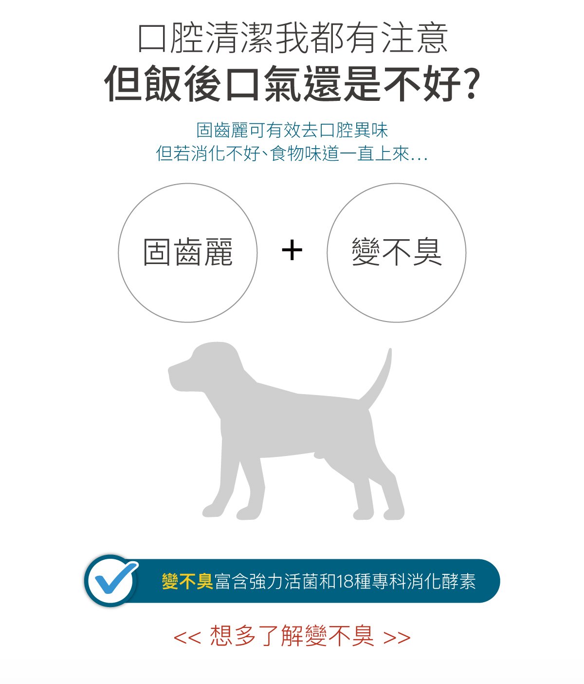 木入森 犬寶固齒麗口滴劑 30ml｜狗狗潔牙滴劑_13