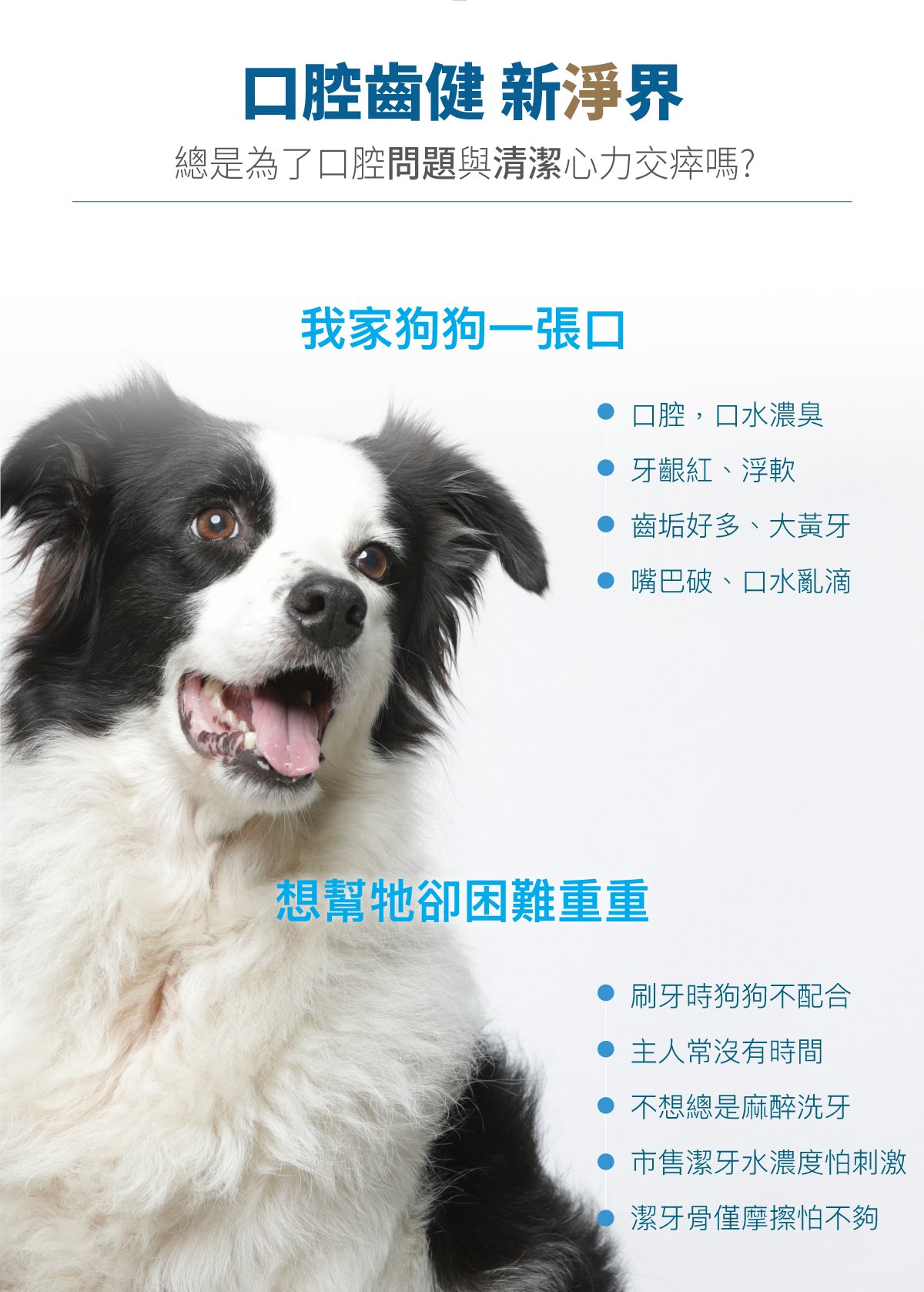 木入森 犬寶固齒麗口滴劑 30ml｜狗狗潔牙滴劑_2