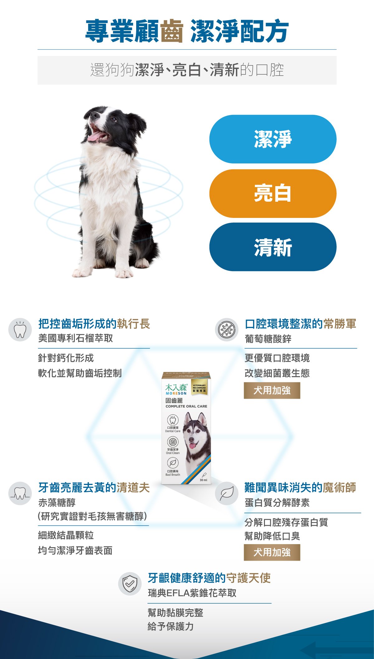 木入森 犬寶固齒麗口滴劑 30ml｜狗狗潔牙滴劑_9