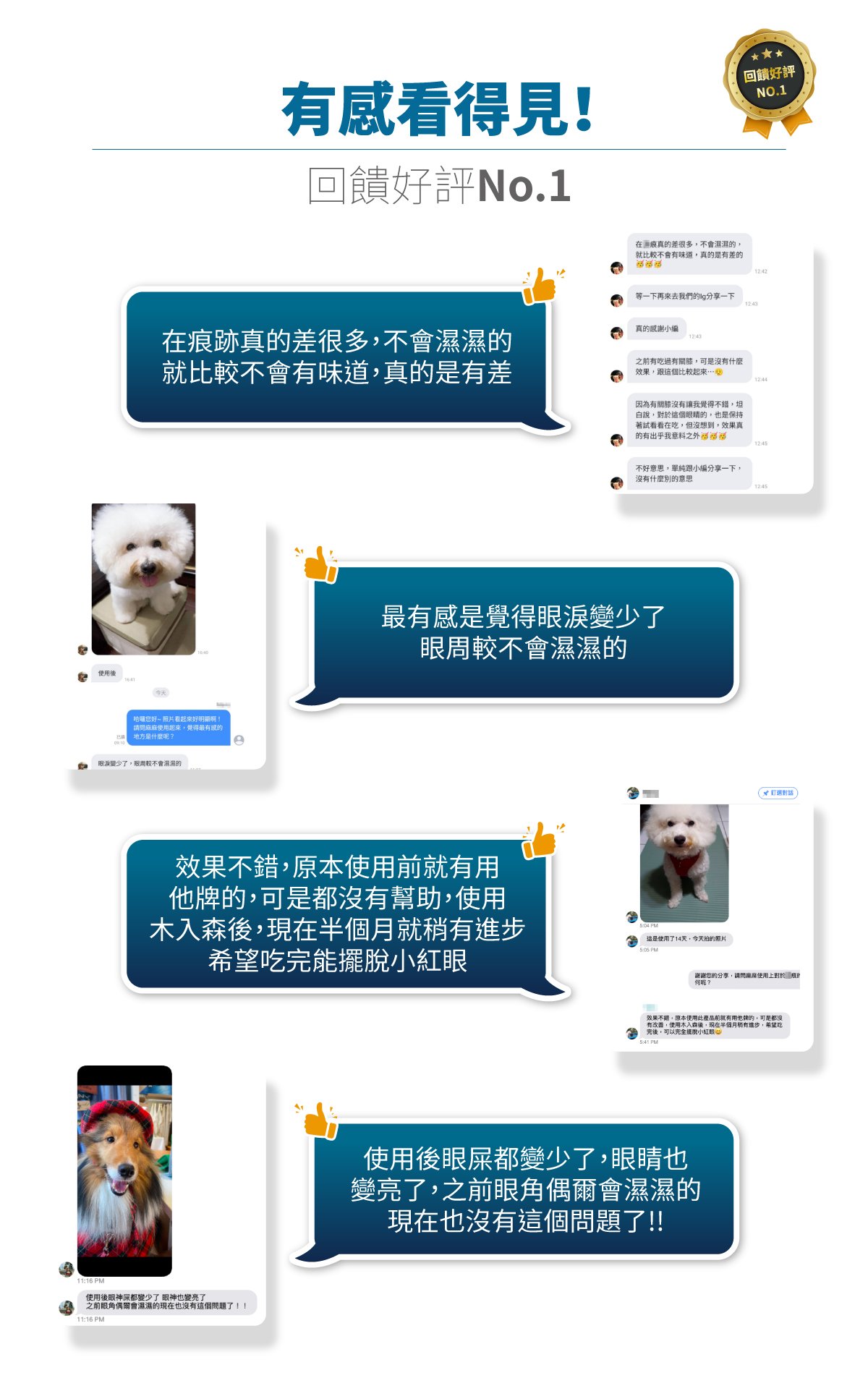 木入森 犬寶痕淨白｜狗狗眼睛保健食品_10