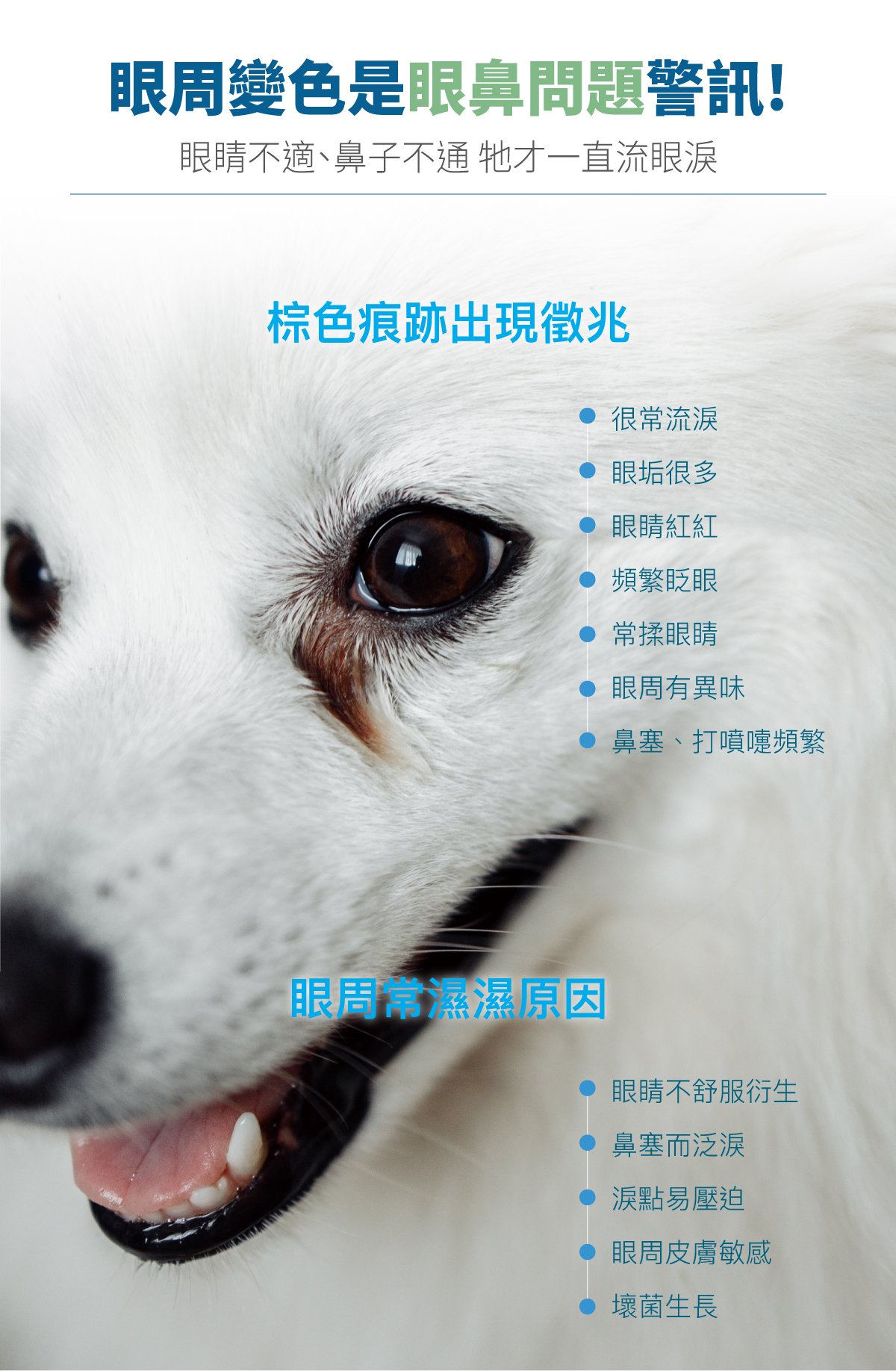 木入森 犬寶痕淨白｜狗狗眼睛保健食品_2