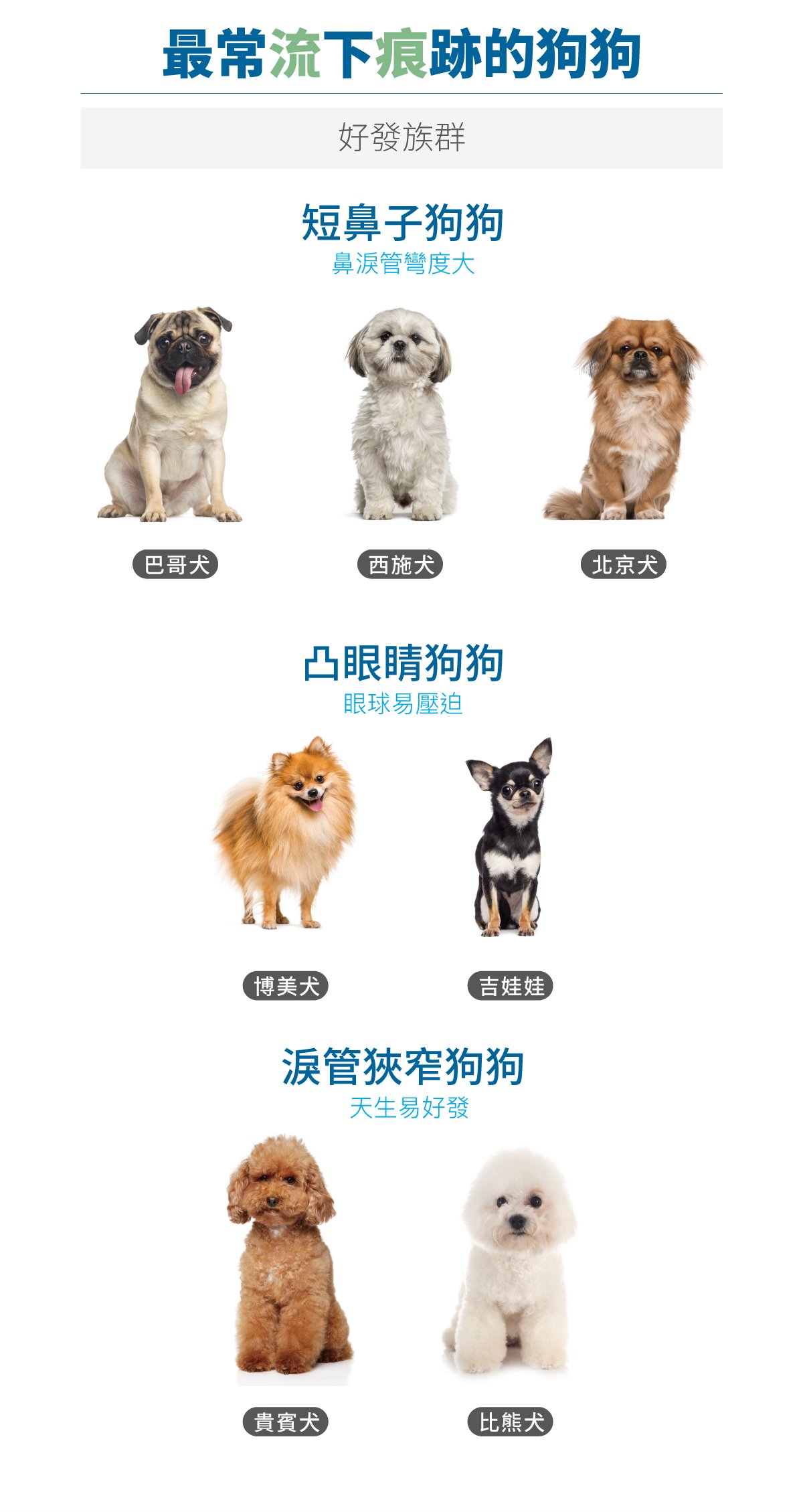 木入森 犬寶痕淨白｜狗狗眼睛保健食品_3
