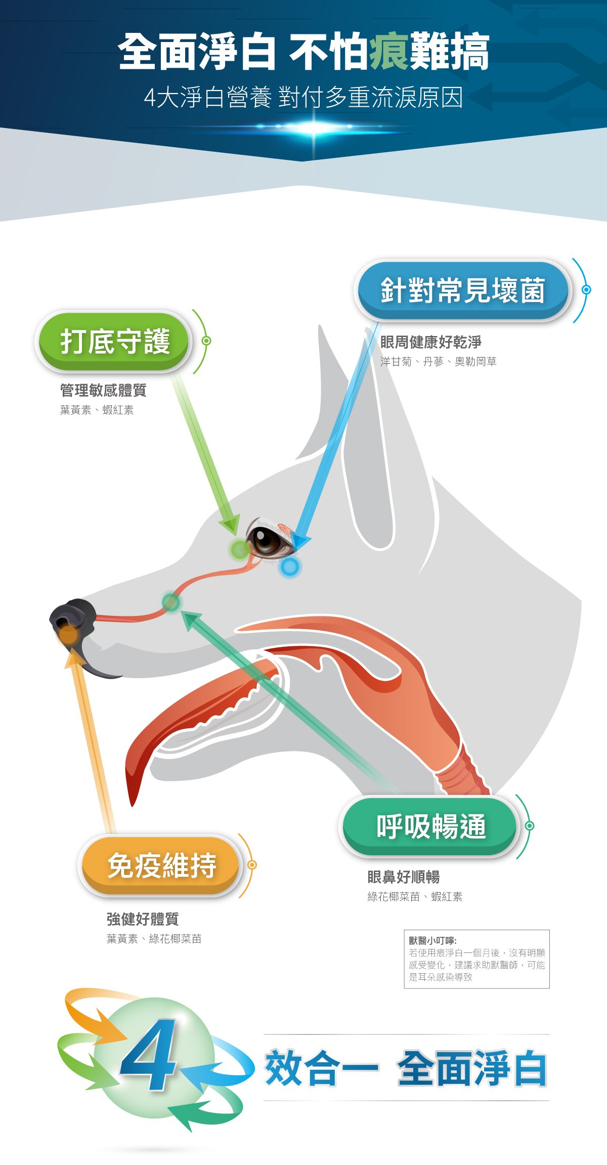 木入森 犬寶痕淨白｜狗狗眼睛保健食品_6