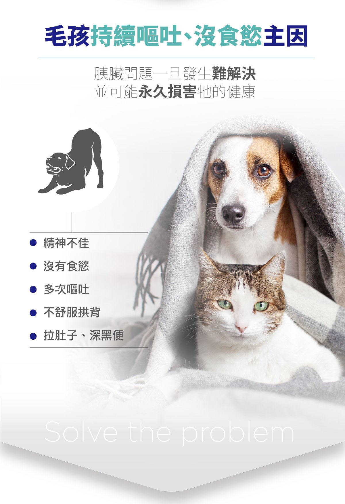 木入森&nbsp;胰錠酵&nbsp;胰臟護理酵素錠_3