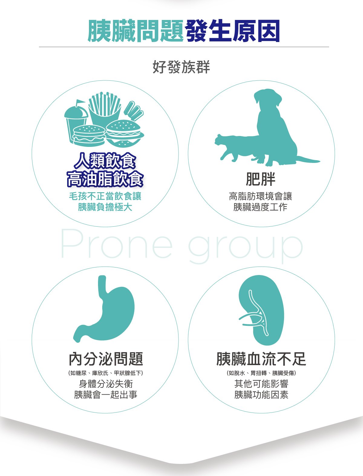 木入森&nbsp;胰錠酵&nbsp;胰臟護理酵素錠_4