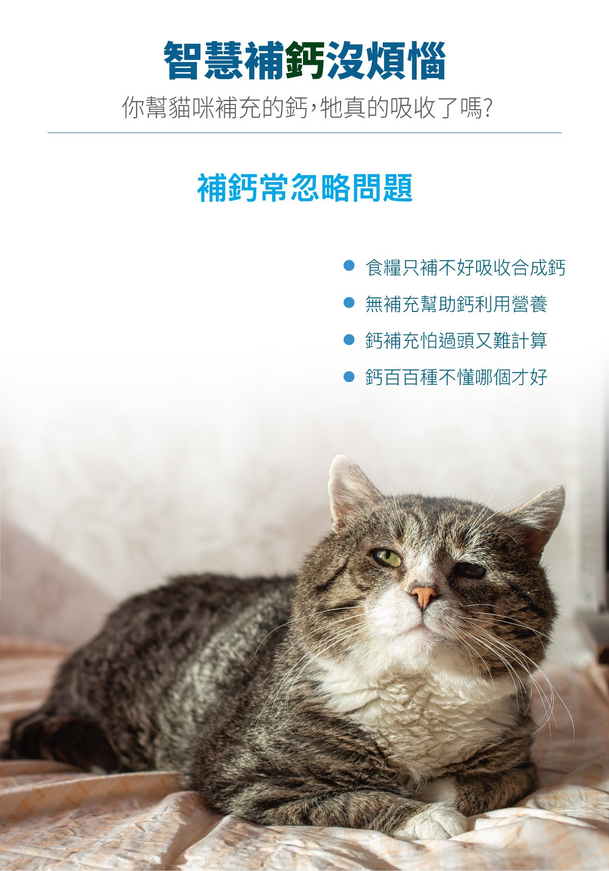 木入森 貓咪D藻鈣｜貓咪補鈣推薦_2