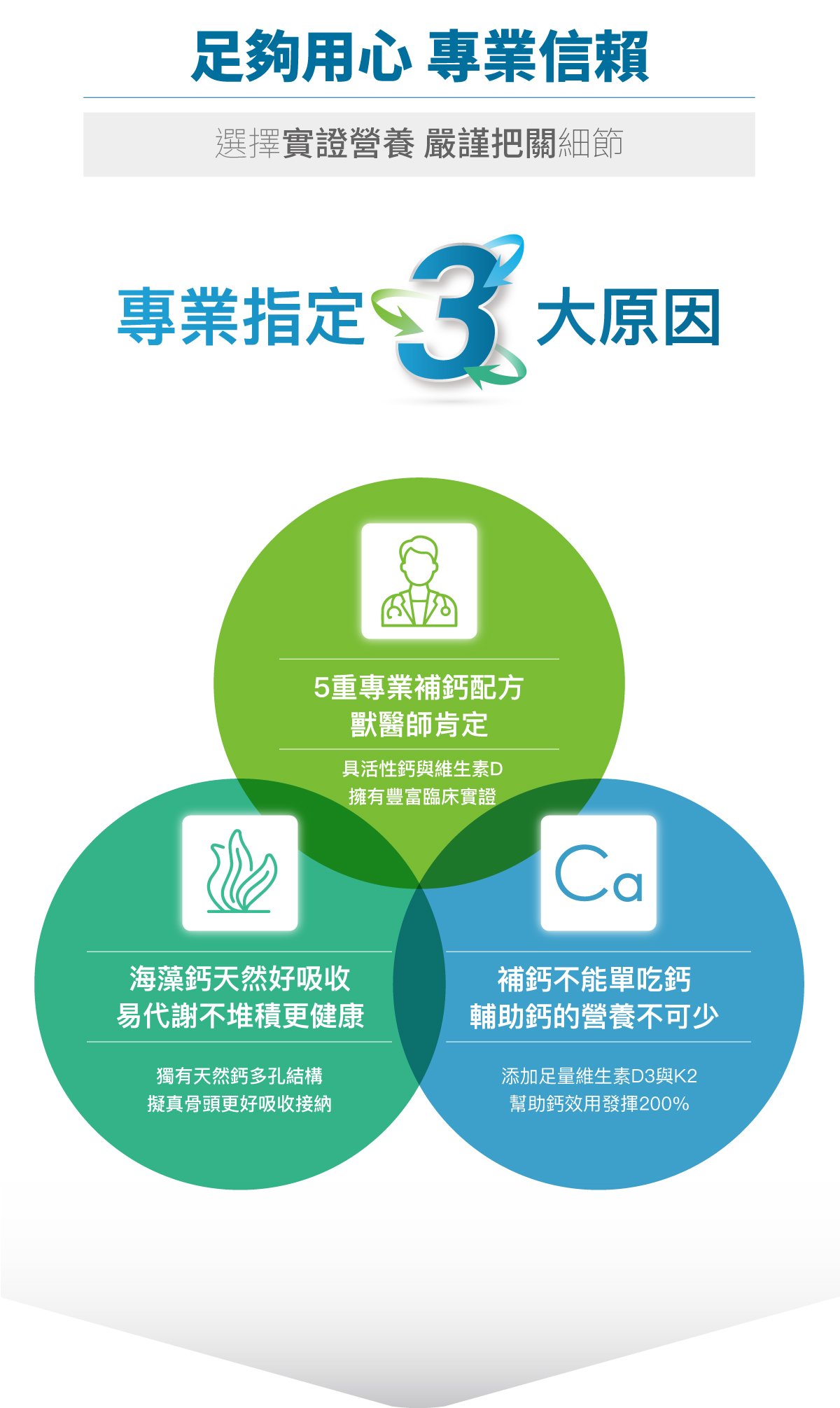 木入森 貓咪D藻鈣｜貓咪補鈣推薦_5