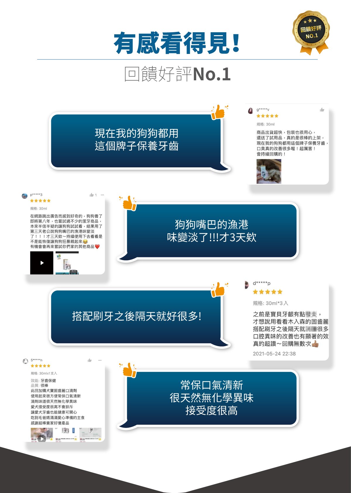 木入森 貓咪固齒麗口滴劑｜貓咪潔牙滴劑_14