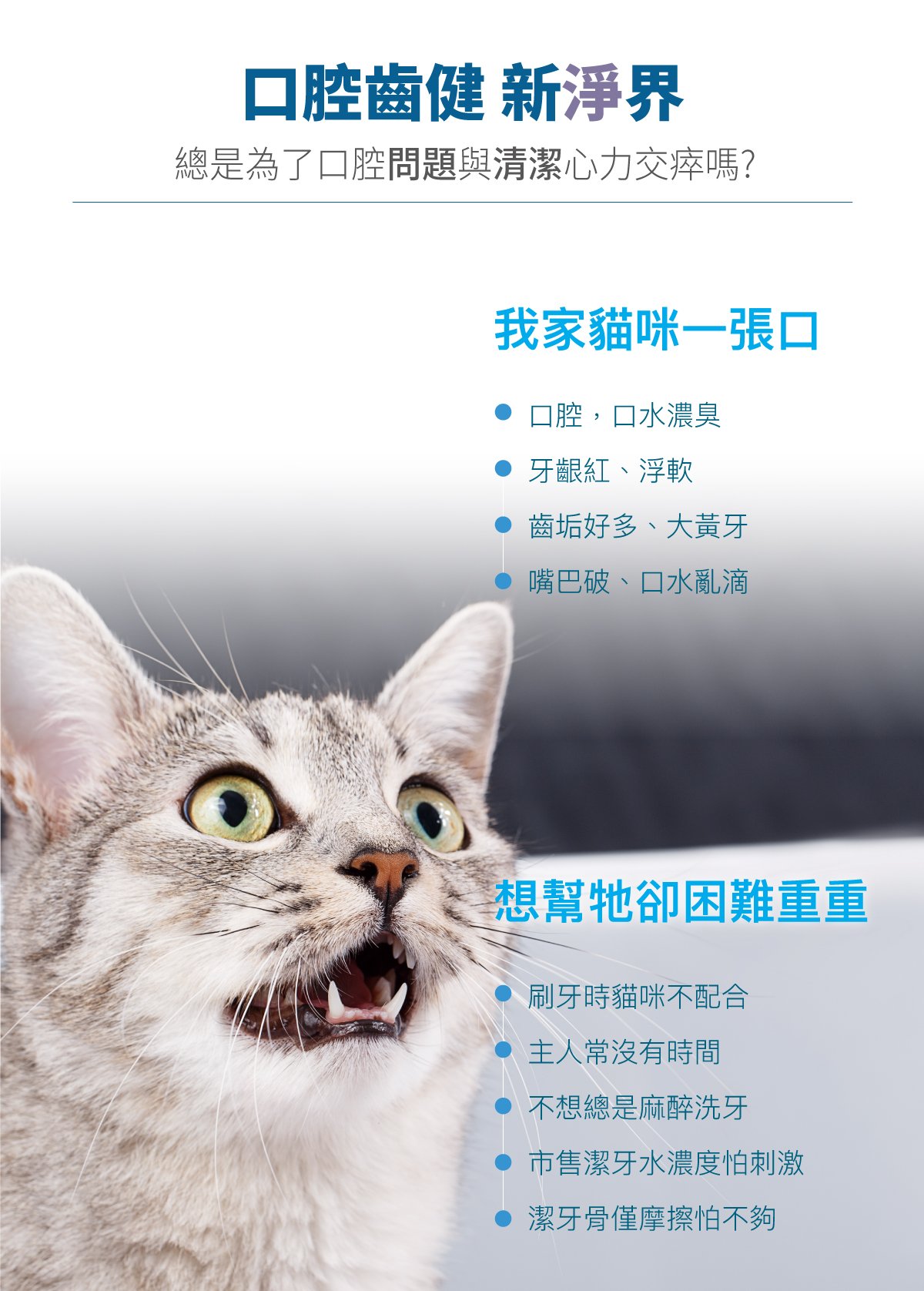 木入森 貓咪固齒麗口滴劑｜貓咪潔牙滴劑_2