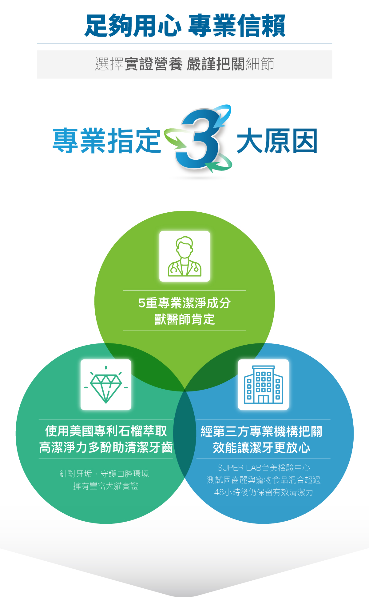 木入森 貓咪固齒麗口滴劑｜貓咪潔牙滴劑_4